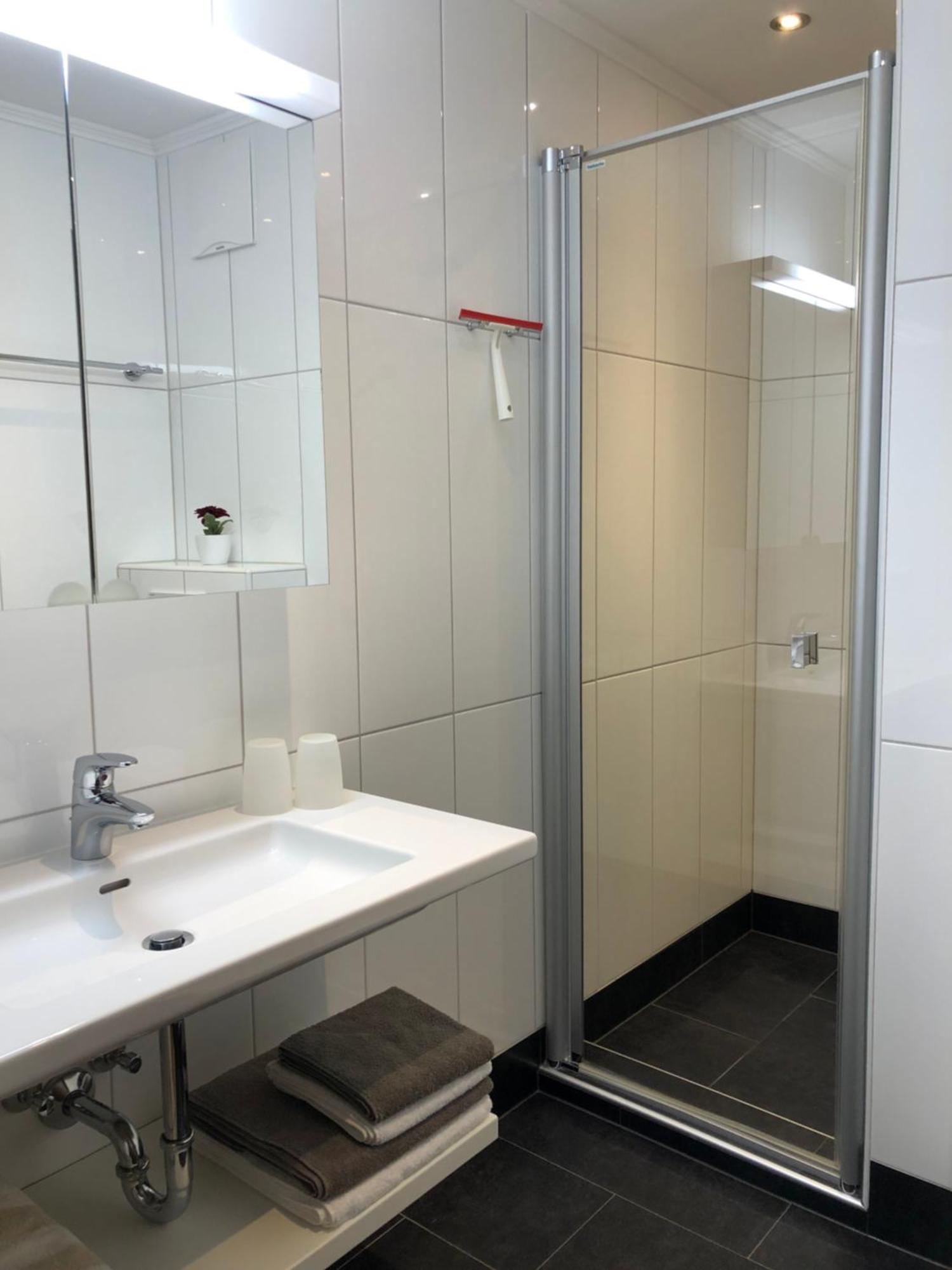 Appartement Schwab Ski In & Out ชลัดมิง ภายนอก รูปภาพ